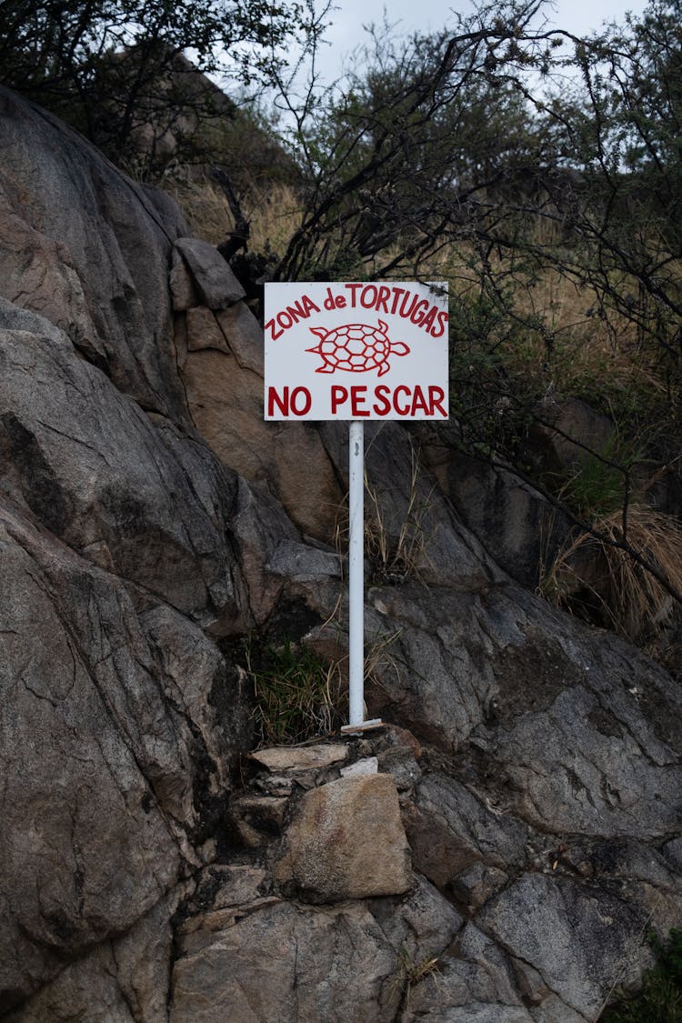 Board Forbidding Fishing With Spanish Script