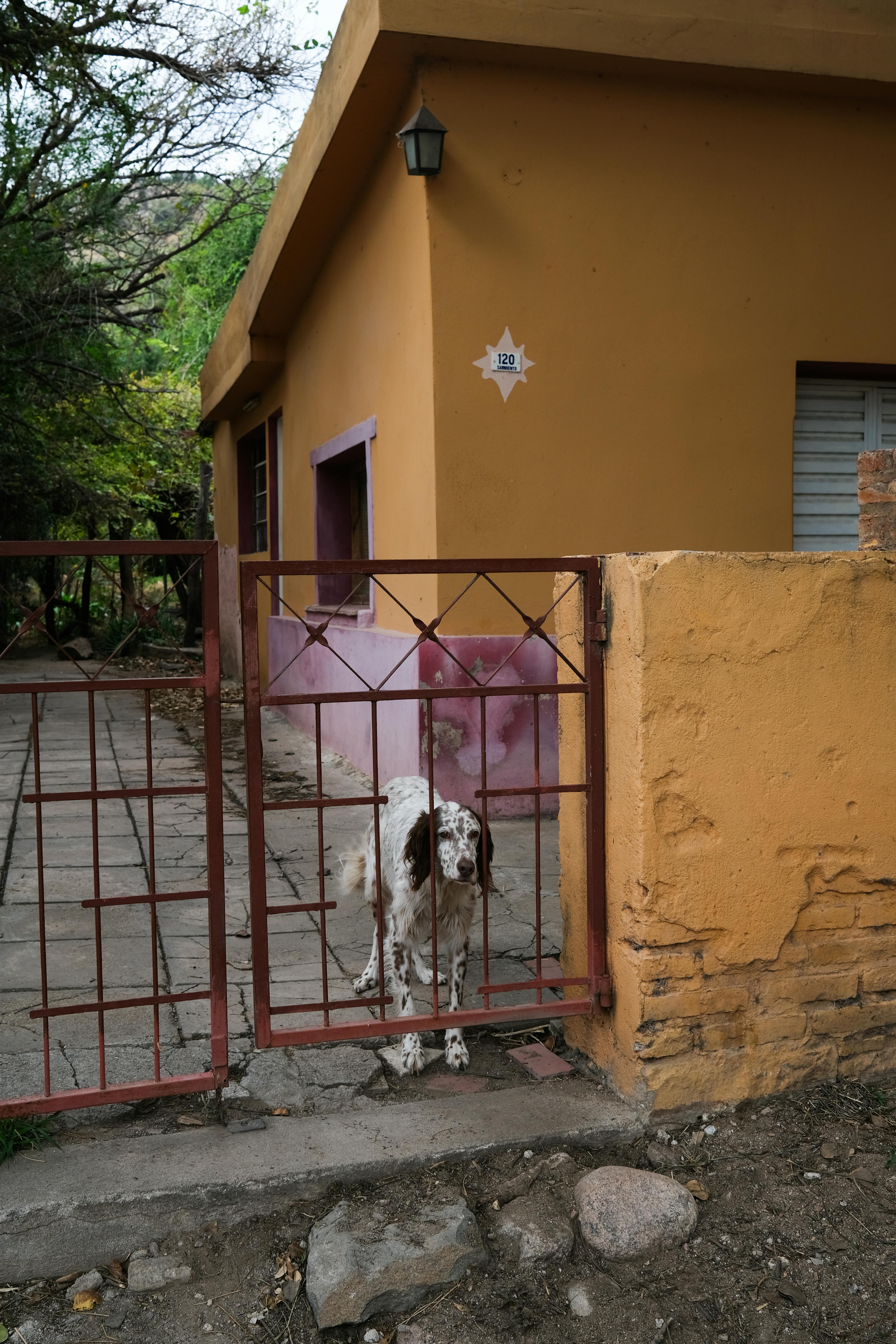 Zubehör für den Bau einer Hundehütte