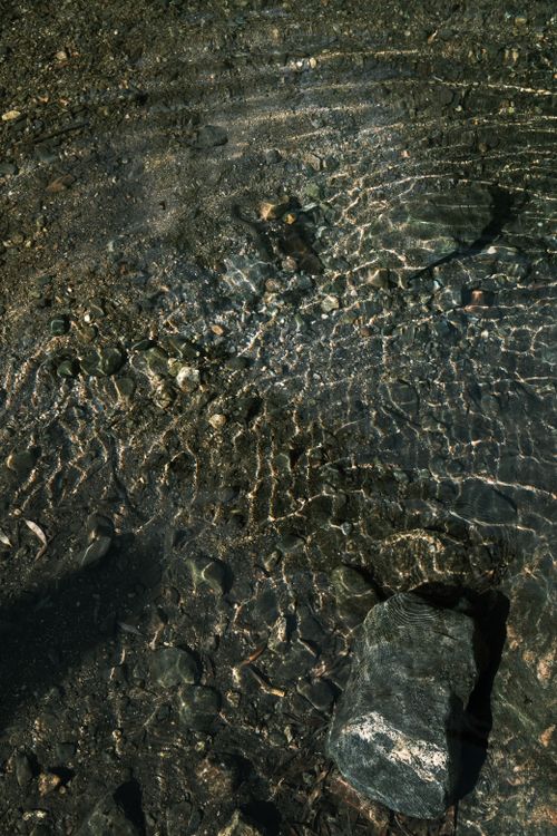 Free A mesmerizing view of sunlight creating ripples over rocks in a clear stream. Stock Photo