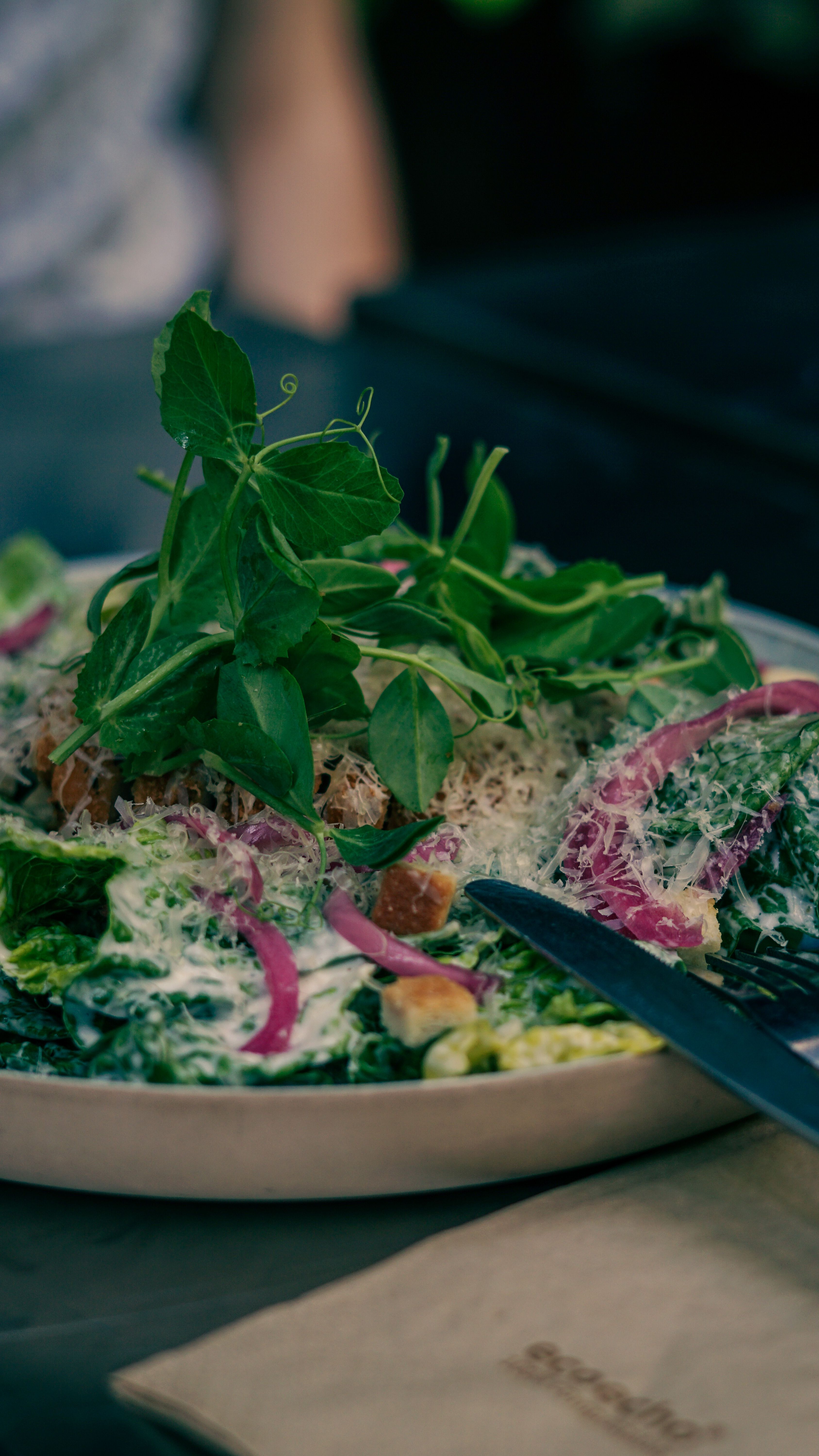 Kostnadsfria Kostnadsfri bild av aptitretare, caesarsallad, färska gröna Stock foto