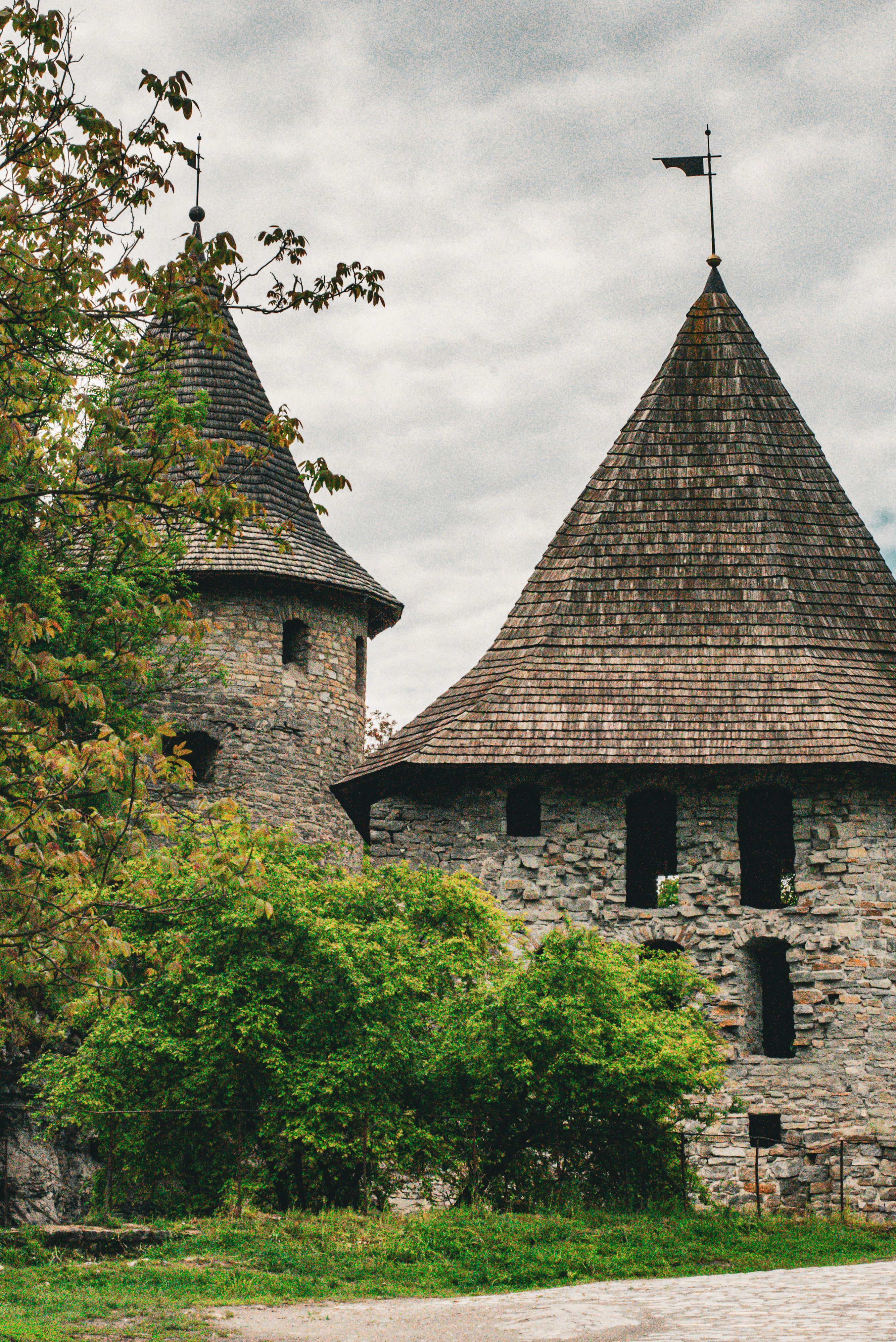 pexels-photo-17581268.jpeg?cs=srgb\u0026dl=pexels-samuelgoldberg-17581268.jpg\u0026fm=jpg
