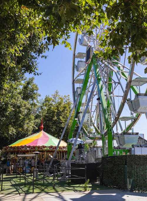 Základová fotografie zdarma na téma kolotoč, léto, park