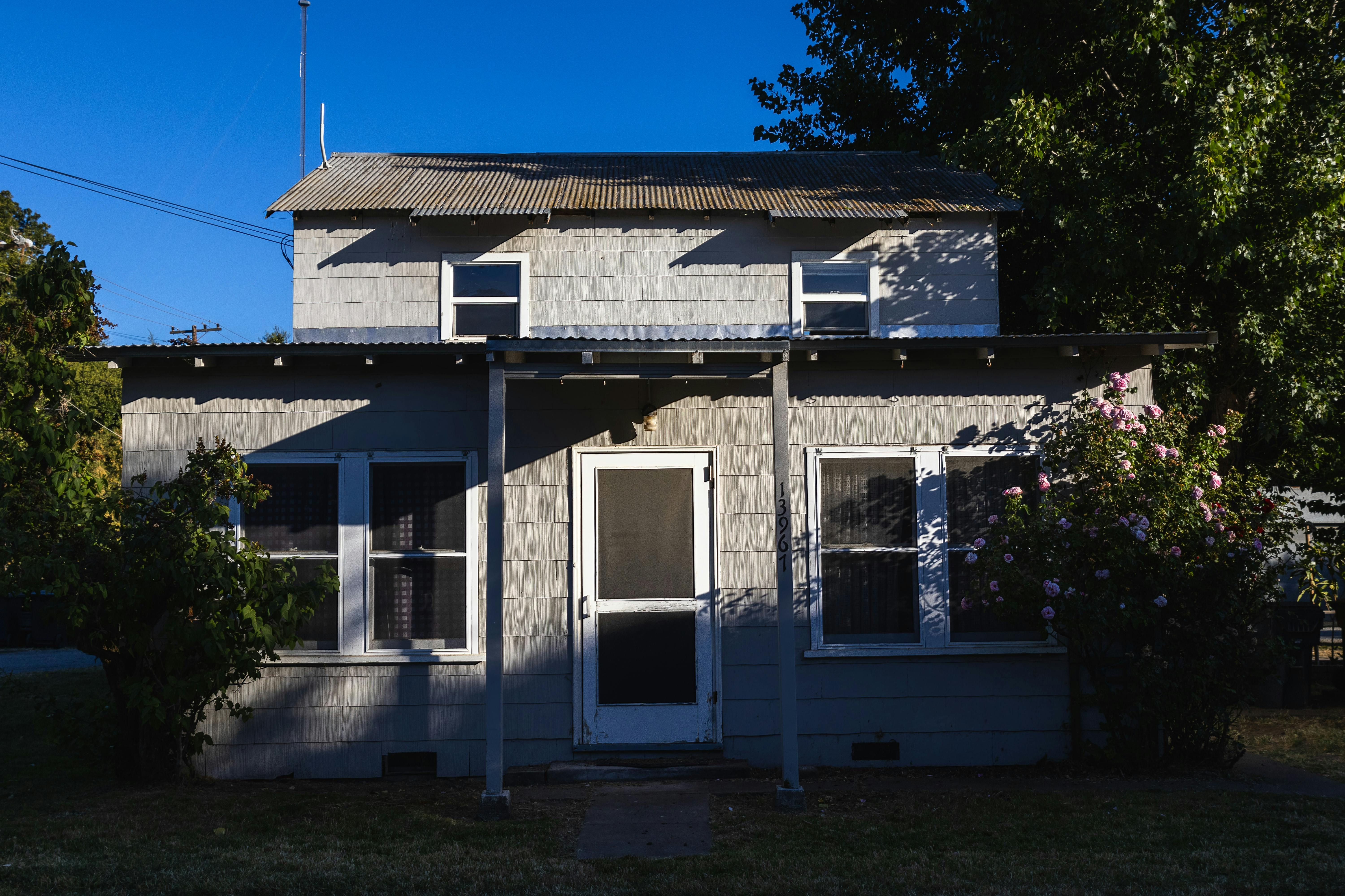 Green Trees Growing near House · Free Stock Photo
