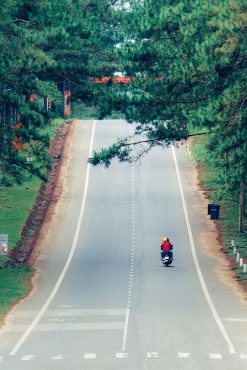 Free A lone motor scooter travels down a tranquil, tree-lined rural road. Stock Photo