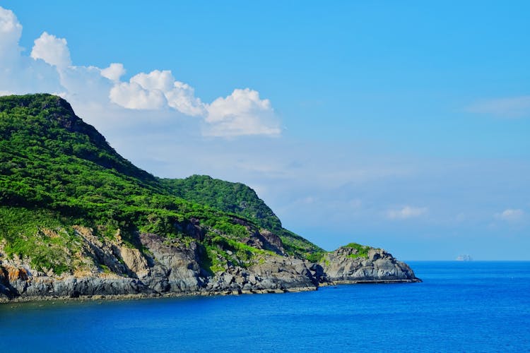 Rocks With Green Forest Near Blue Ocean