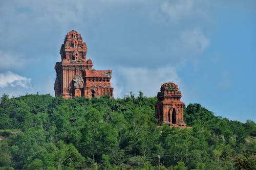 Imagine de stoc gratuită din antic, arbori, binh dinh