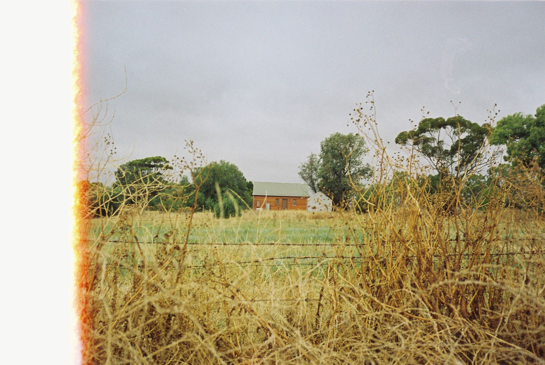 Barossa Valley
