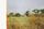 australian landscape