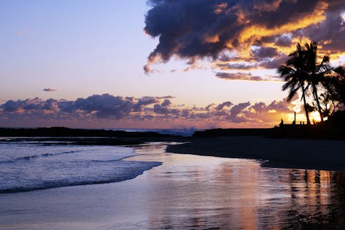 Scenic Sunset Landscape of a Beach