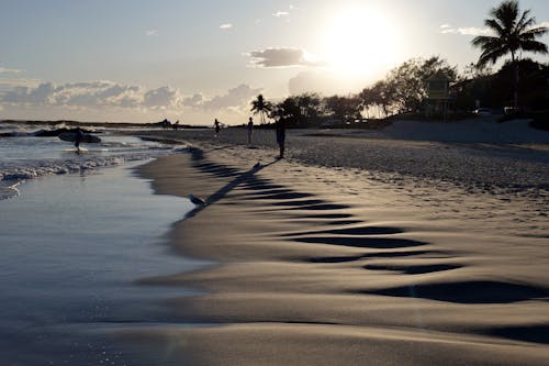 Free stock photo of australia, beach, queensland