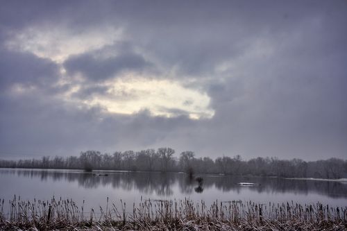 Free A tranquil winter scene with frosty trees reflecting on calm water under a cloudy sky. Stock Photo