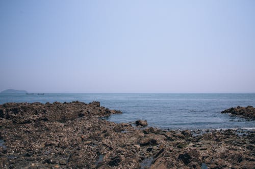 Sea Shore with Rocks