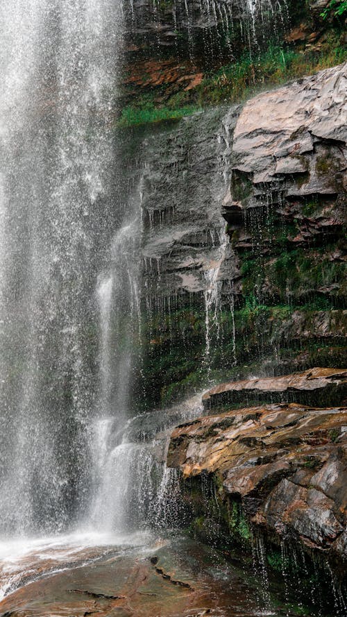 Kostnadsfri bild av natur, vattenfall