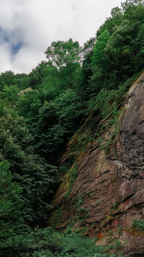 Kostnadsfri bild av berg, natur