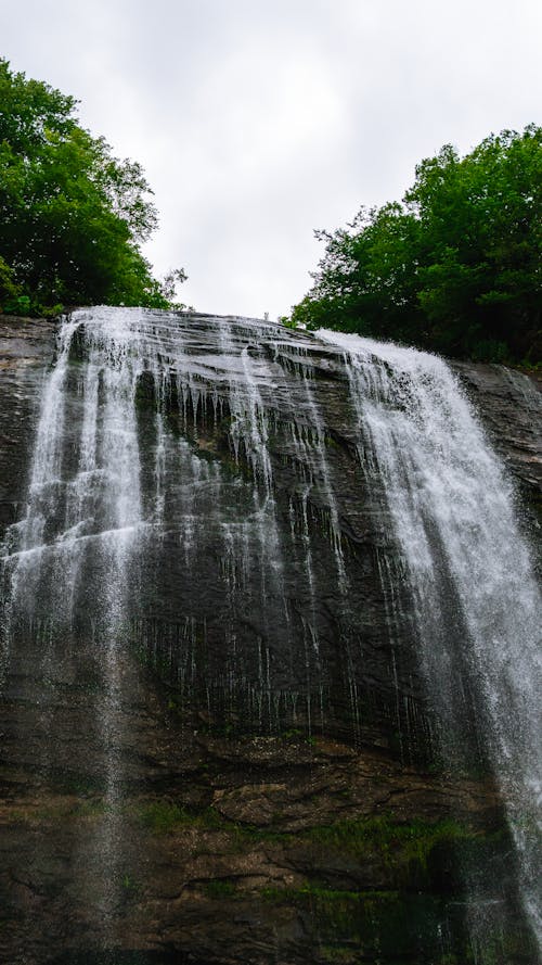 Kostnadsfri bild av natur, vattenfall