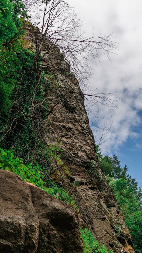 Kostenloses Stock Foto zu natur