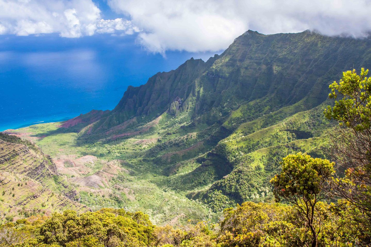 Green cliffs meeting the ocean along the Kauaʻi coast
