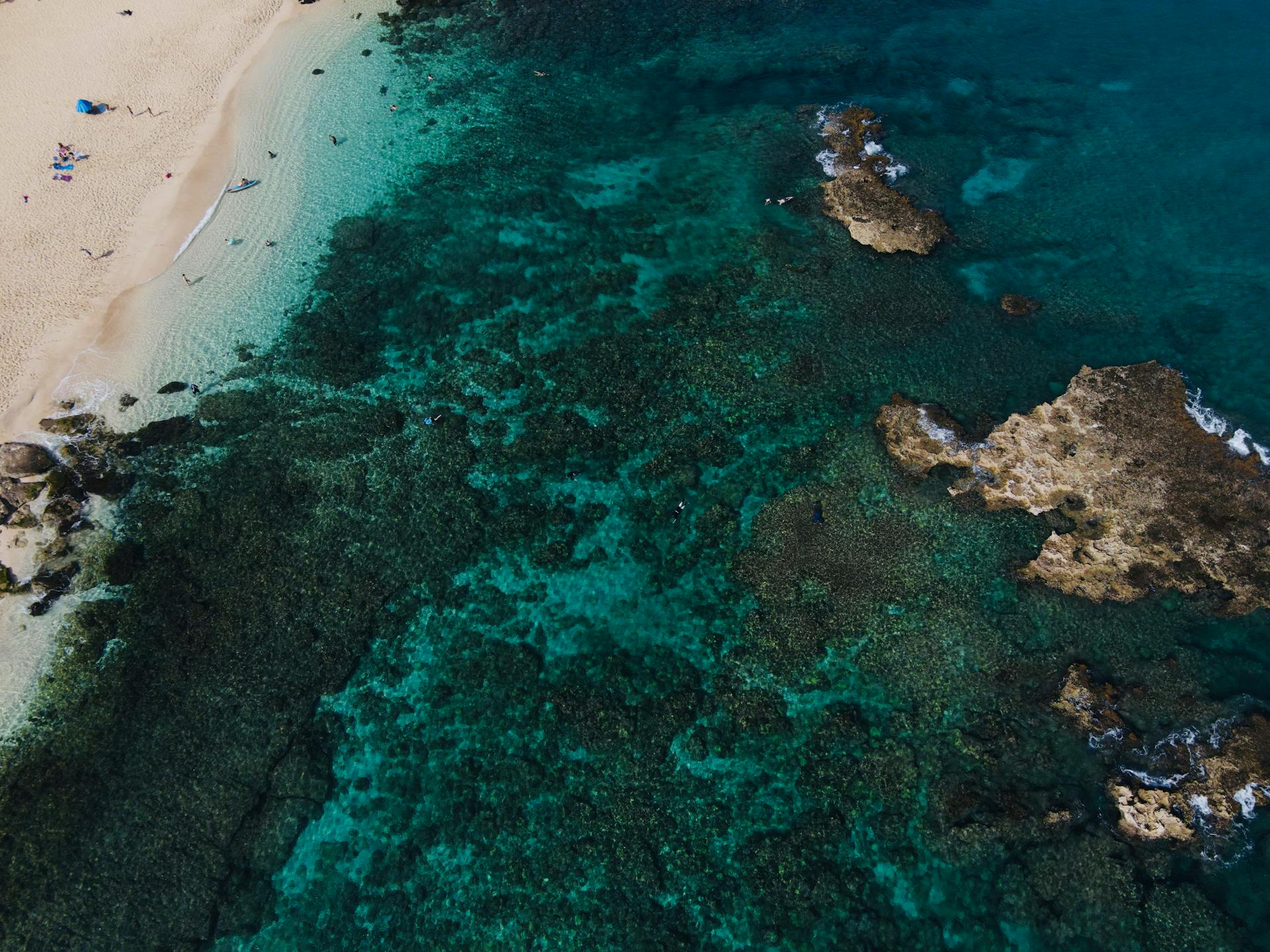 A breathtaking aerial view showcasing a vibrant coral reef meeting a sandy beach, perfect for travel and vacation inspiration.