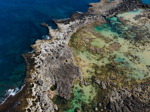 Foto d'estoc gratuïta de Costa, erosionat, mar