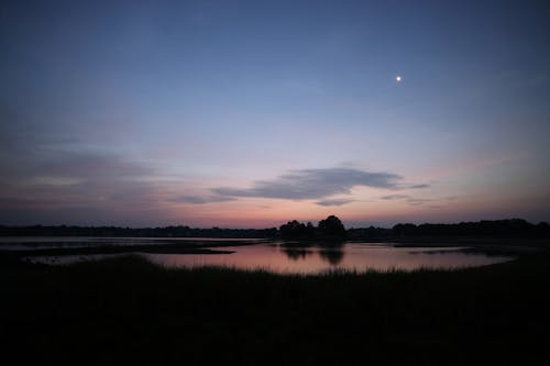 Ingyenes stockfotó káka, naplemente, síkság témában