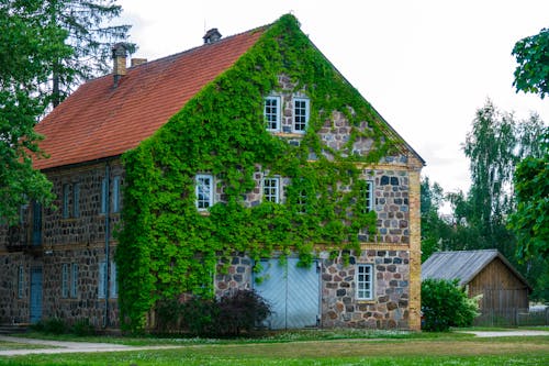 Ingyenes stockfotó sigulda témában