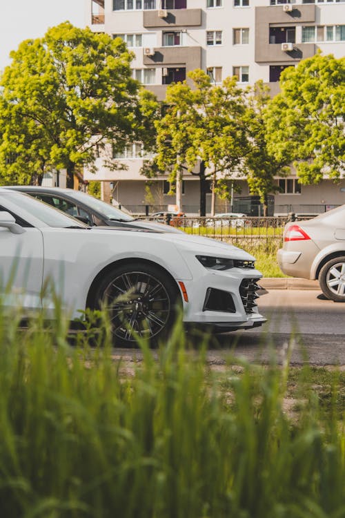 Kostenloses Stock Foto zu auto, fahrzeug, städtisch