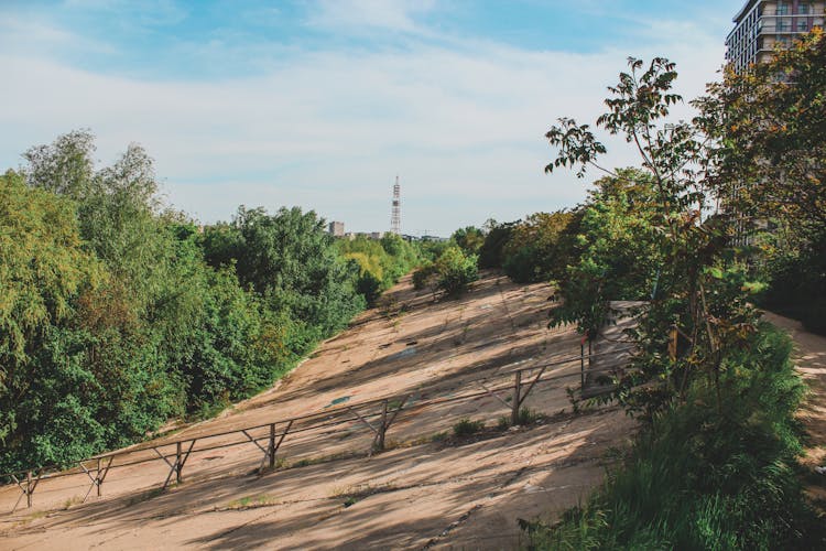 Forested Urban Riverbank