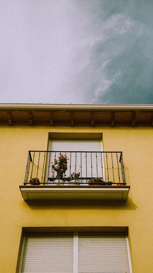 Gratis lagerfoto af altaner, balkon, blomstring