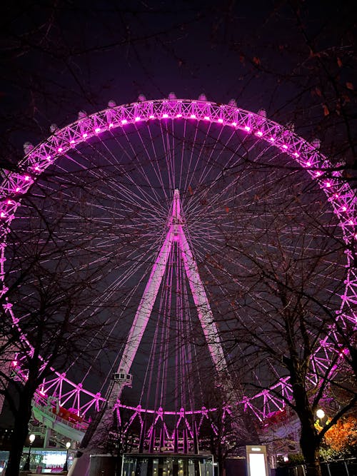 Fotobanka s bezplatnými fotkami na tému holé stromy, jasné svetlá, London Eye