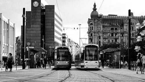 Trams in a City in a Grayscale Photo