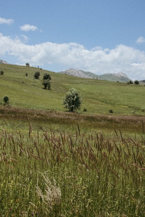 Free Expansive meadow landscape with lush grass, rolling hills, and clear blue summer sky. Stock Photo