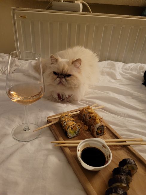 猫寿司
