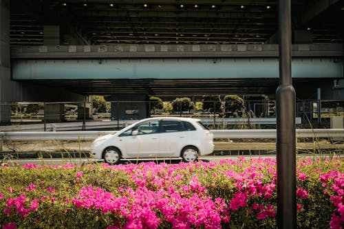 Gratis stockfoto met auto, automobiel, autorijden