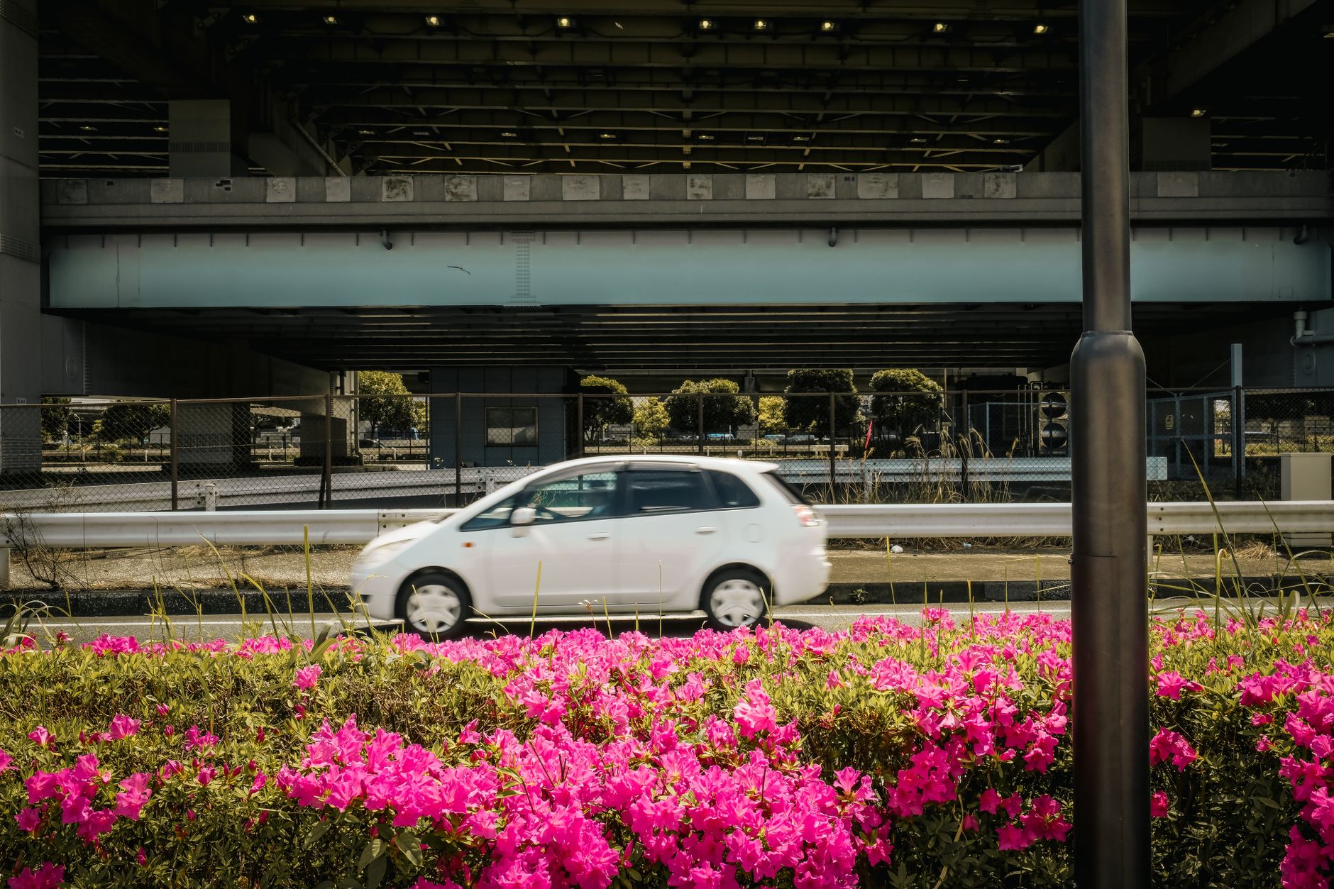 運転免許取消