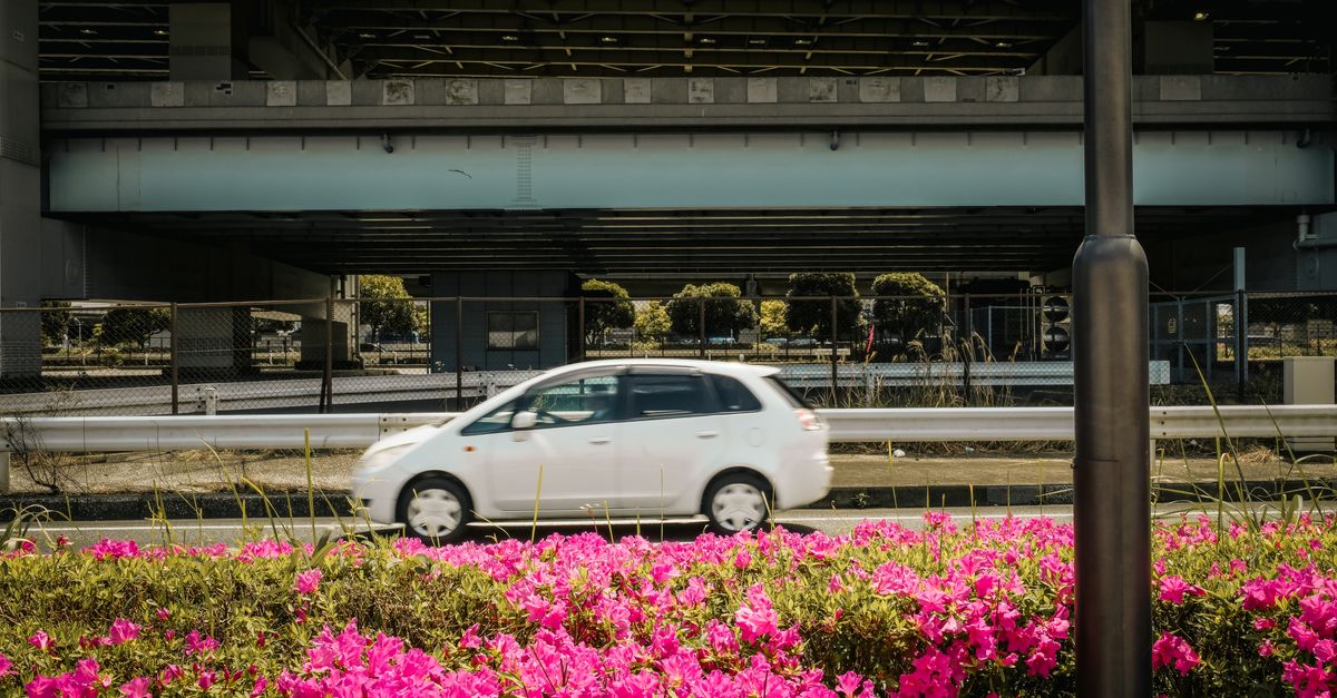Pont Voiture : Guide Achat et Prix 2024