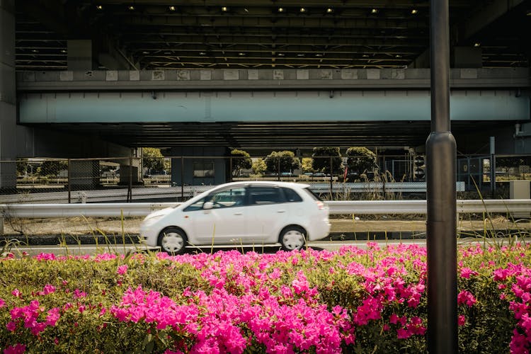 Car Driving Near Blooming Flowerbed In City