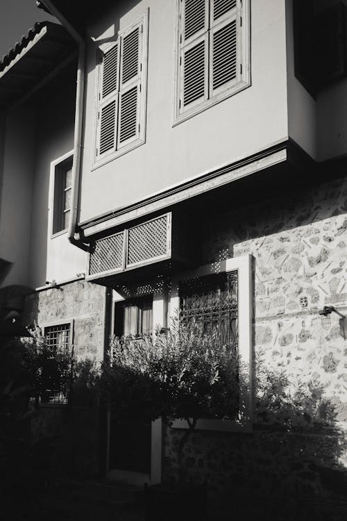 Plants under Sunlit Building Wall