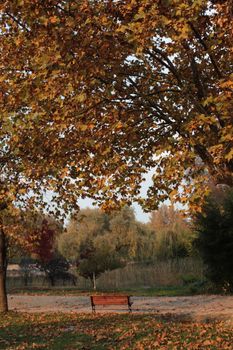 Beautiful autumn view in Bursa, Türkiye with colorful foliage and a serene park bench.