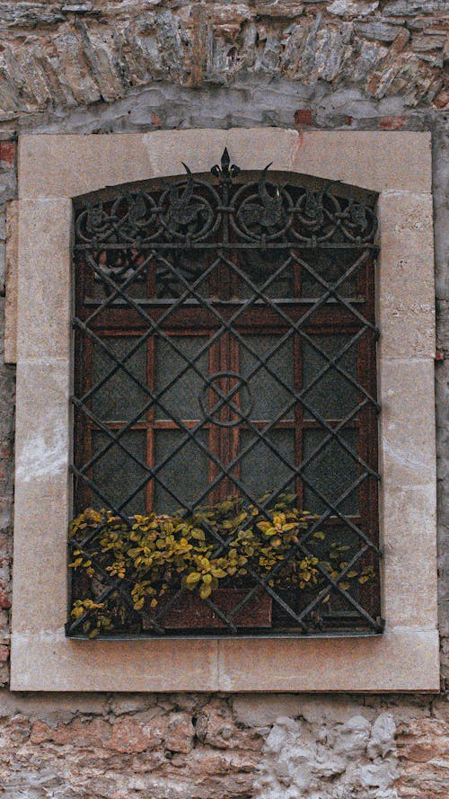 Flowers in Pot on Window with Gates