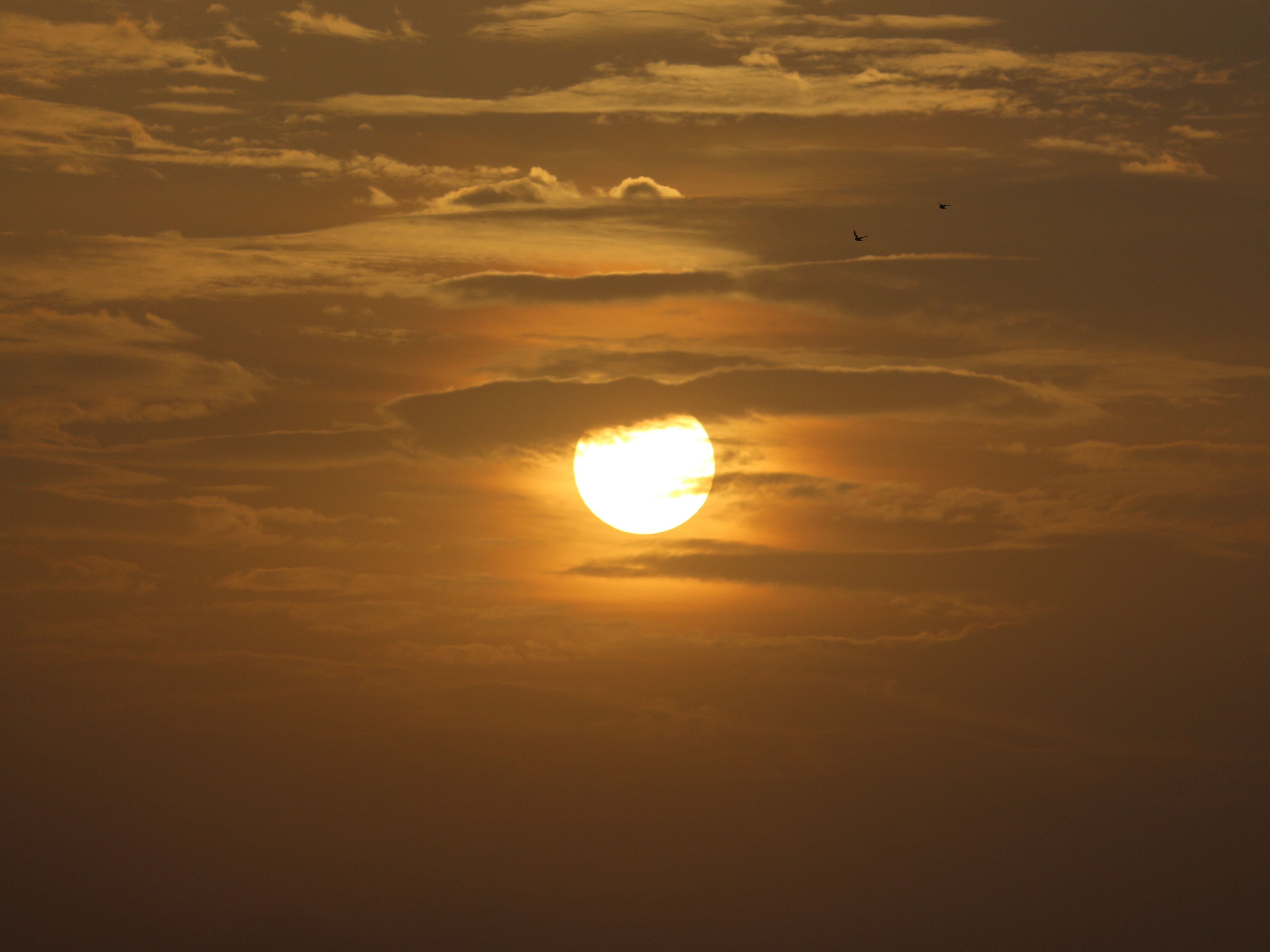 Sun in Yellow Sky · Free Stock Photo