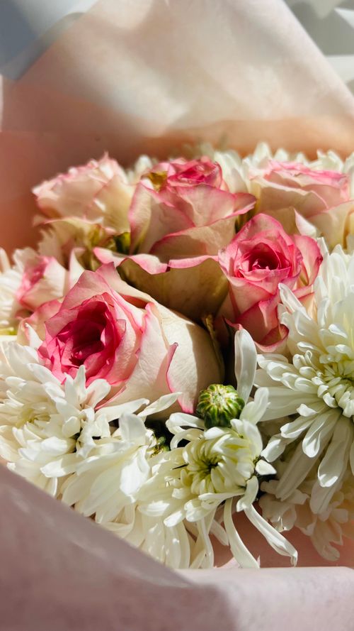 Free Beautiful pink roses and white chrysanthemums in soft pink wrapping, perfect for gifting. Stock Photo