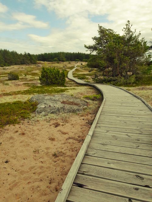 Free Wooden boardwalk through serene Tallinn countryside, Estonia, under cloudy sky. Stock Photo