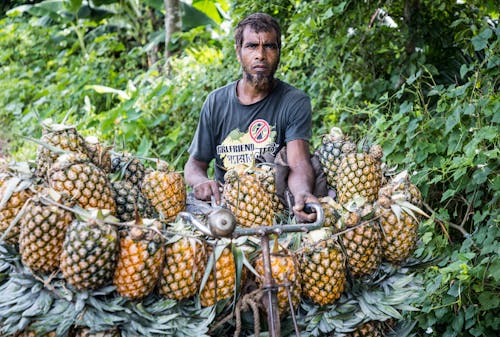 Farmer with Pineapples on Bike