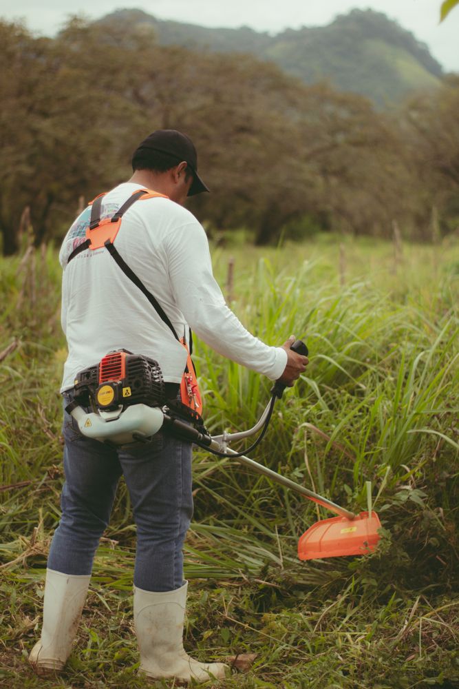 Worker cutting long grass with a brush cutter