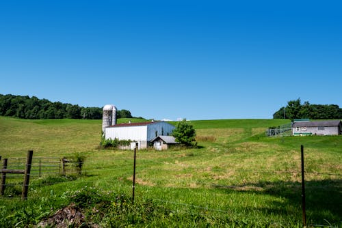 Farm Silo