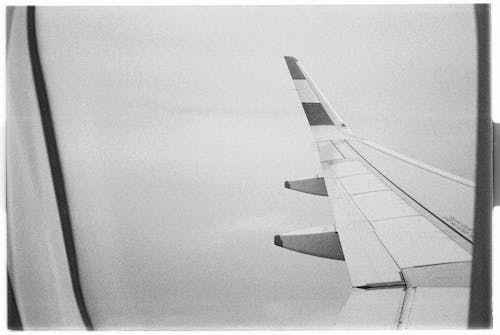 Бесплатное стоковое фото с black amp white, Авиация, крыло самолета
