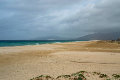 Beach on Sea Shore