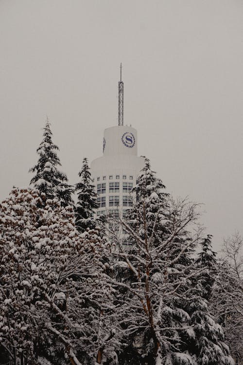 Tower of the Sheraton Hotel seen behind the Snowy Trees in Ankara, Turkey 