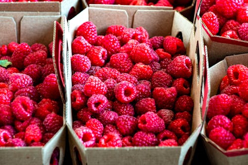 Raspberries in Baskets