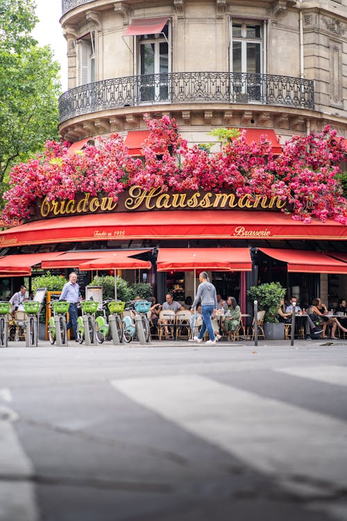 Základová fotografie zdarma na téma akcie, architektura, bar